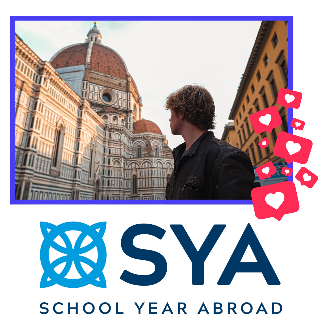 school year abroad memoryfox foxie winner collect stories globally