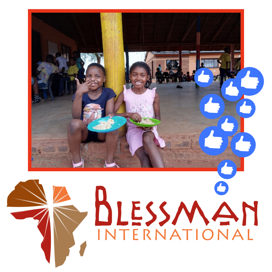 blessman international memoryfox foxie winner collect stories globally